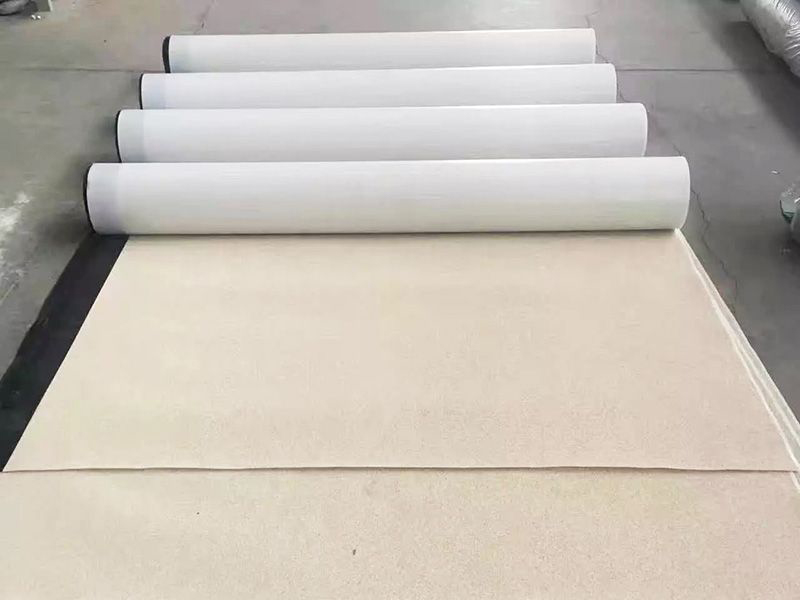 非沥青基高分子自粘防水卷材6